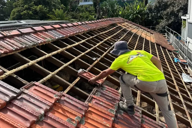 Roof Maintenance 101