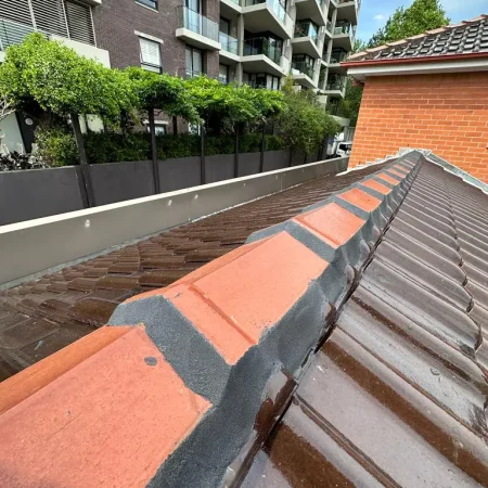 roof tile cleaning project 12