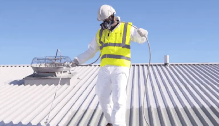 Roof Painting