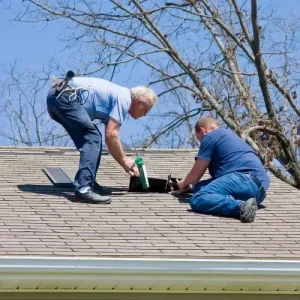 Roof Painting in Sydney