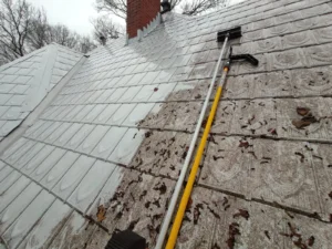 Roof Pressure Cleaning in Sydney