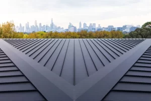 Metal Roof Restoration Services in Sydney