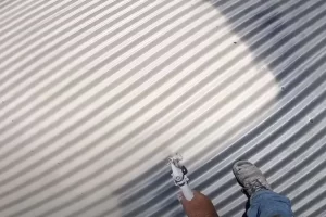 Roof Painting Services in Sydney